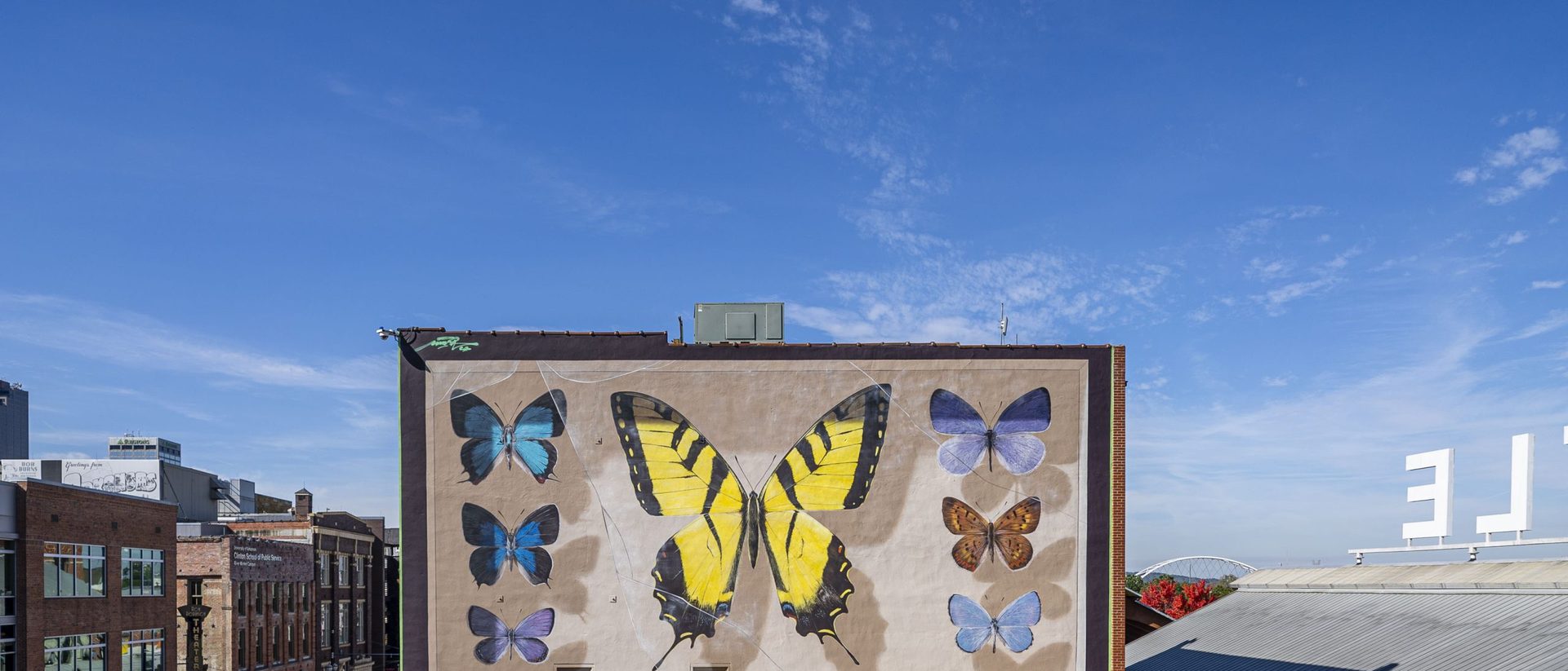 Large butterfly mural painted on a building wall in Little Rock, Arkansas